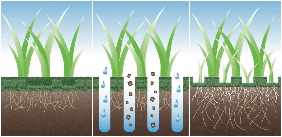Результат работы газонного аэратора (до, во время и после обработки) Результат работы газонного аэратора (до, во время и после обработки)