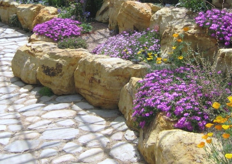 Устройство альпийских горок и рокариев Устройство альпийских горок и рокариев