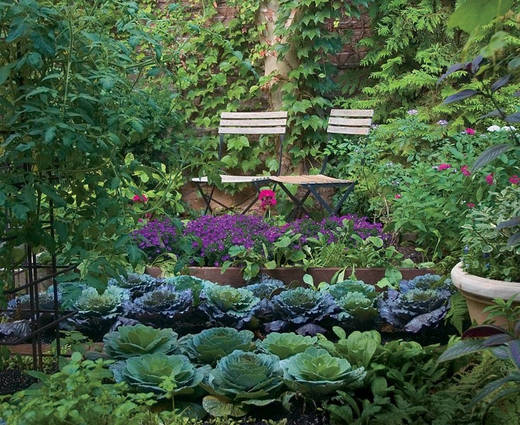 Декоративный огород