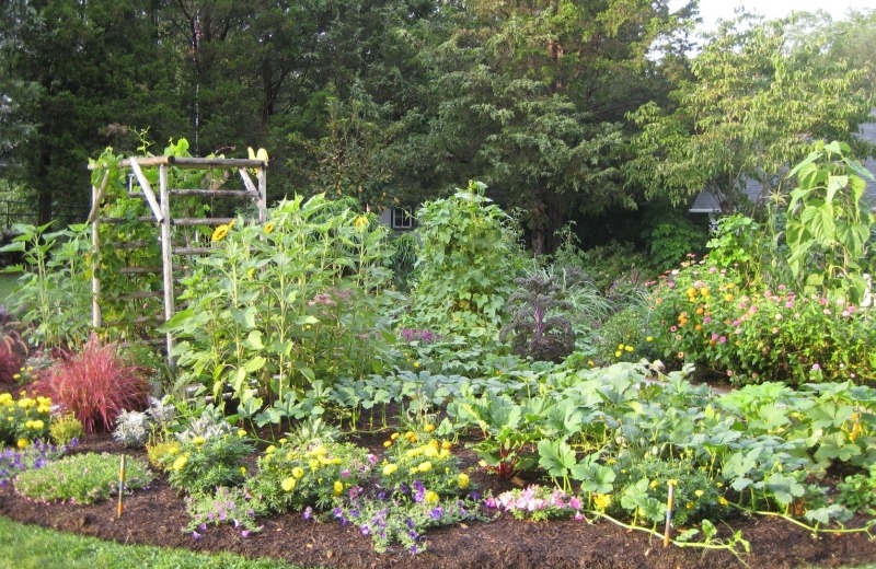 Декоративный огород