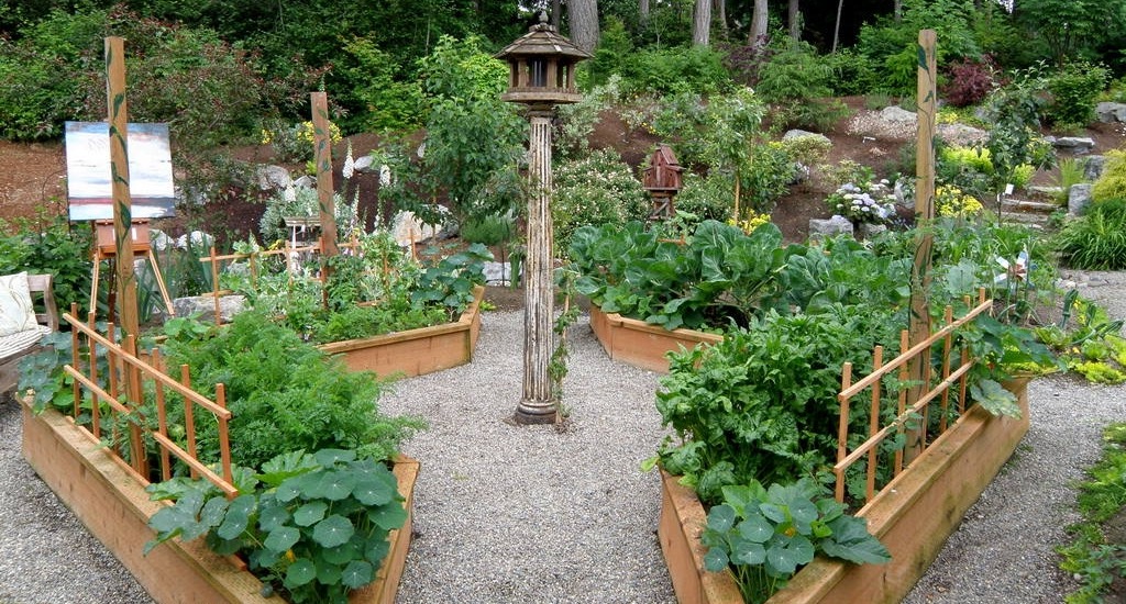 Декоративный огород