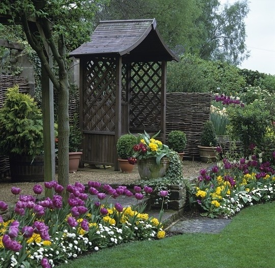 Сад тюльпанов