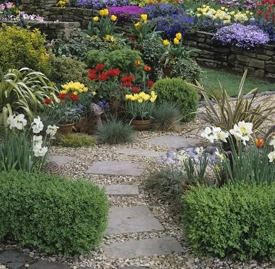 Сад тюльпанов