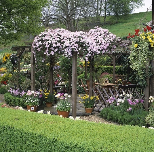 Сад тюльпанов