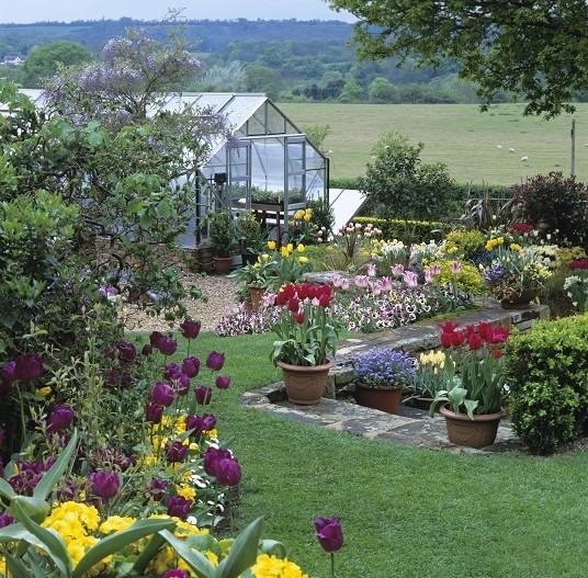 Сад тюльпанов