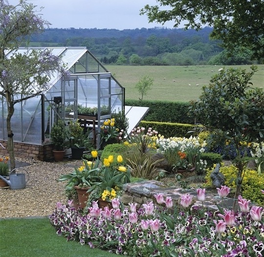 Сад тюльпанов