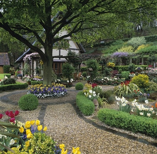 Сад тюльпанов