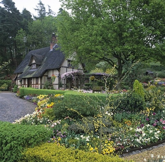 Сад тюльпанов