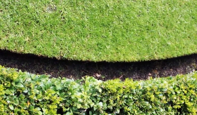 Садовый бордюр и бордюрная лента. Оформляем границы газона