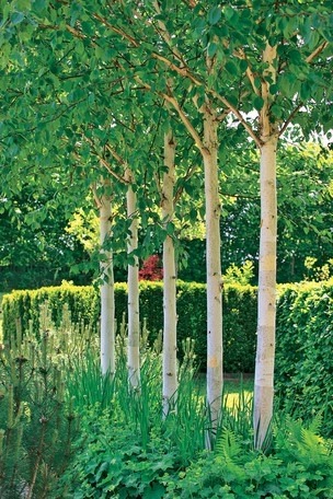 Идеи оформления сада и дачного участка