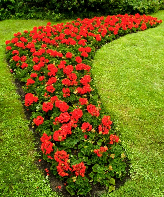 Идеи оформления сада и дачного участка