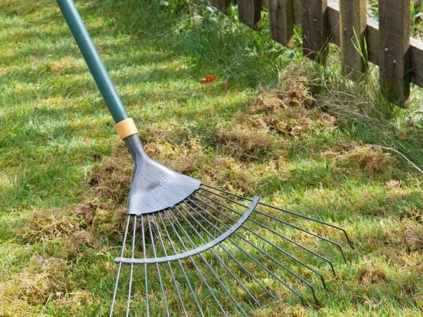 Веерные грабли Веерные грабли