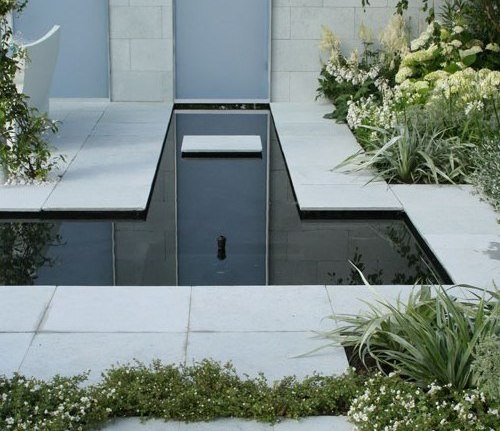 Зимний сад Зимний сад