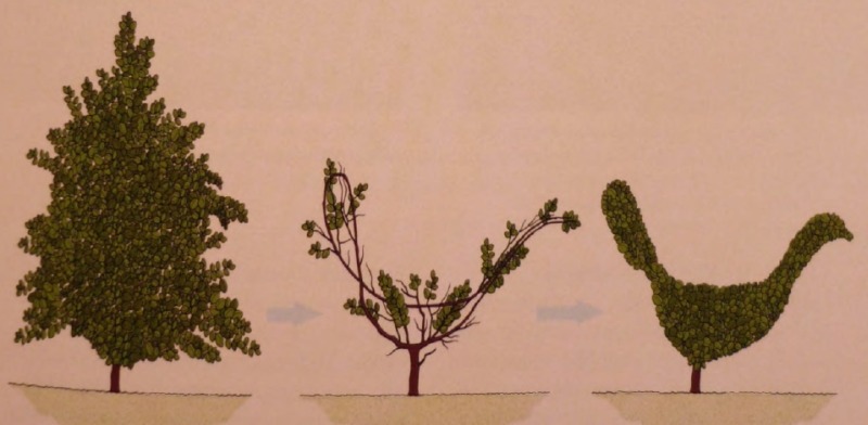 Топиарные фигуры и скульптуры Топиарные фигуры и скульптуры