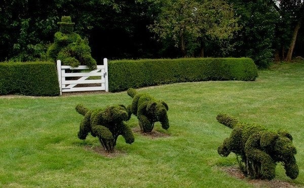 Топиарные фигуры и скульптуры из растений Топиарные фигуры и скульптуры из растений