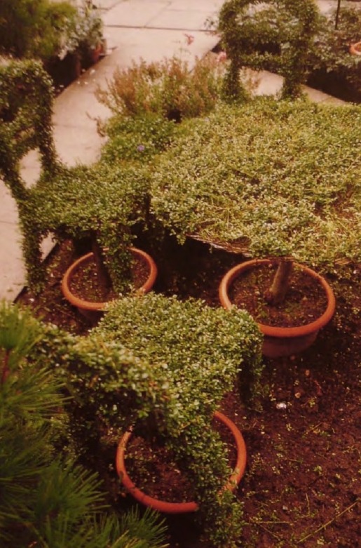 Топиарные фигуры и скульптуры