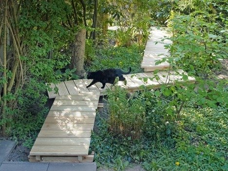 Строим деревянные дорожки - мостки