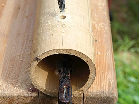 Как правильно пилить бамбук Как правильно пилить бамбук