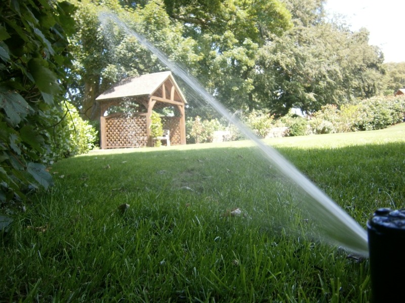 Полив на даче. Инструменты и приспособления для полива