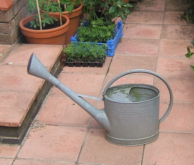 Обычная садовая лейка