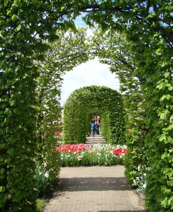 Зеленая арка