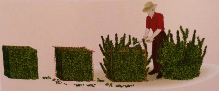 Фигурная стрижка кустов с помощью переносного шаблона