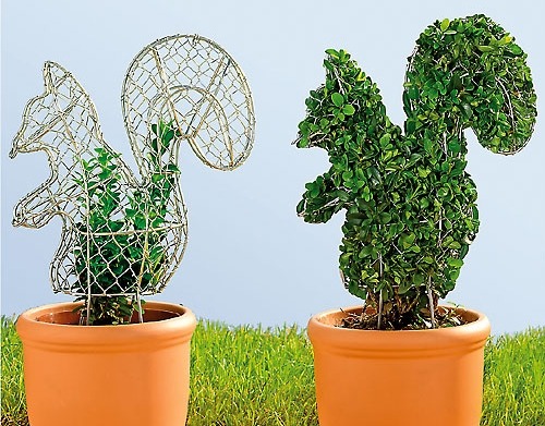 Фигурная стрижка растений - стационарный шаблон