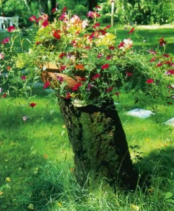 Клумба из пня или красивый пень на каждый день