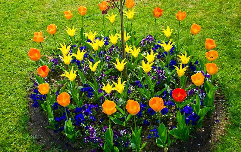 Как сделать клумбу, цветник или цветочницу на дачном участке Как сделать клумбу, цветник или цветочницу на дачном участке