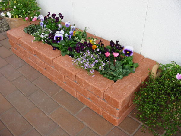 Цветник, клумба из кирпича или брусчатки Цветник, клумба из кирпича или брусчатки