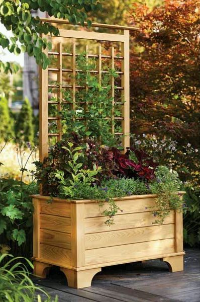 Переносной цветник, клумба с трельяжными решетками для вьющихся растений (шпалерой)