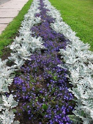 Цветочный бордюр