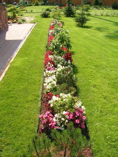 Цветник - рабатка